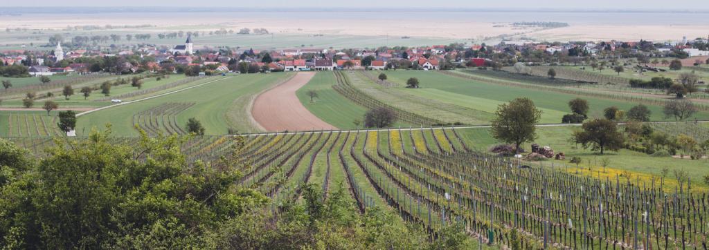 Radlobby Kirschblütenregion